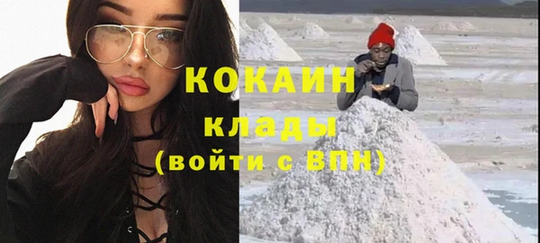 шишки Балахна