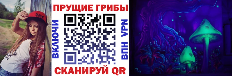 где найти наркотики  Чудово  Псилоцибиновые грибы MAGIC MUSHROOMS 